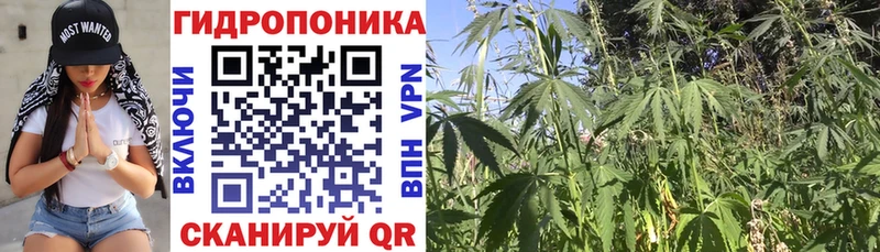 Названия наркотиков Муравленко APVP  blacksprut онион  ГАШ  Конопля  Меф  НБОМе 