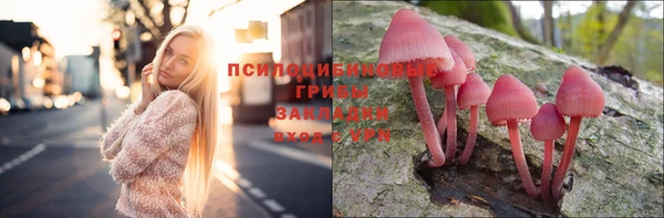 амф Михайловск