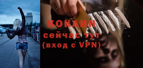 индика Михайлов
