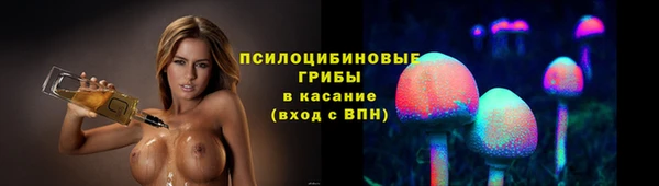 индика Михайлов