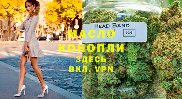индика Михайлов