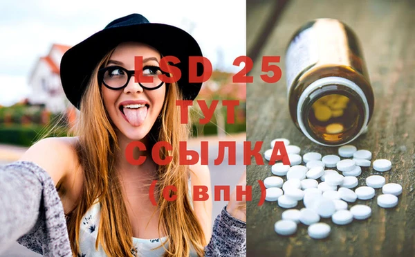 индика Михайлов