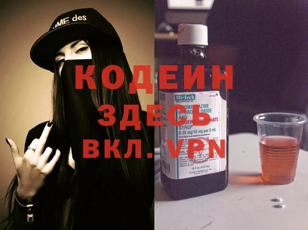 индика Михайлов