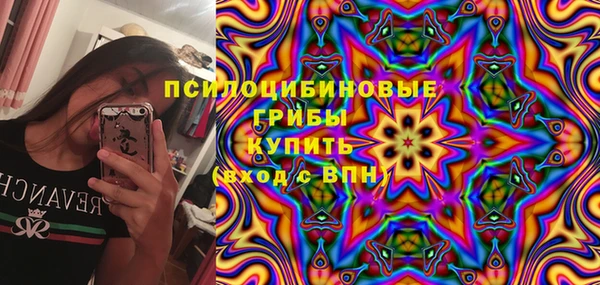 амф Михайловск