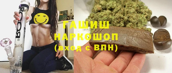 индика Михайлов