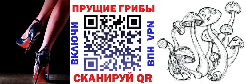 Галлюциногенные грибы MAGIC MUSHROOMS  где купить наркоту  Муравленко 