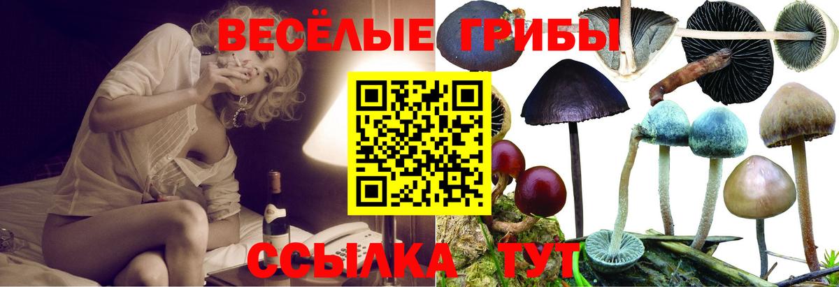 Галлюциногенные грибы мицелий Муравленко
